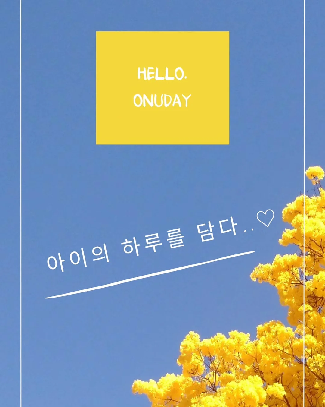 어린이 영양제 1