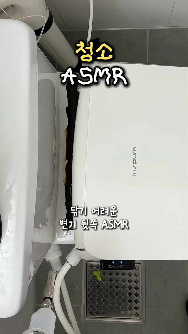 하올스테이