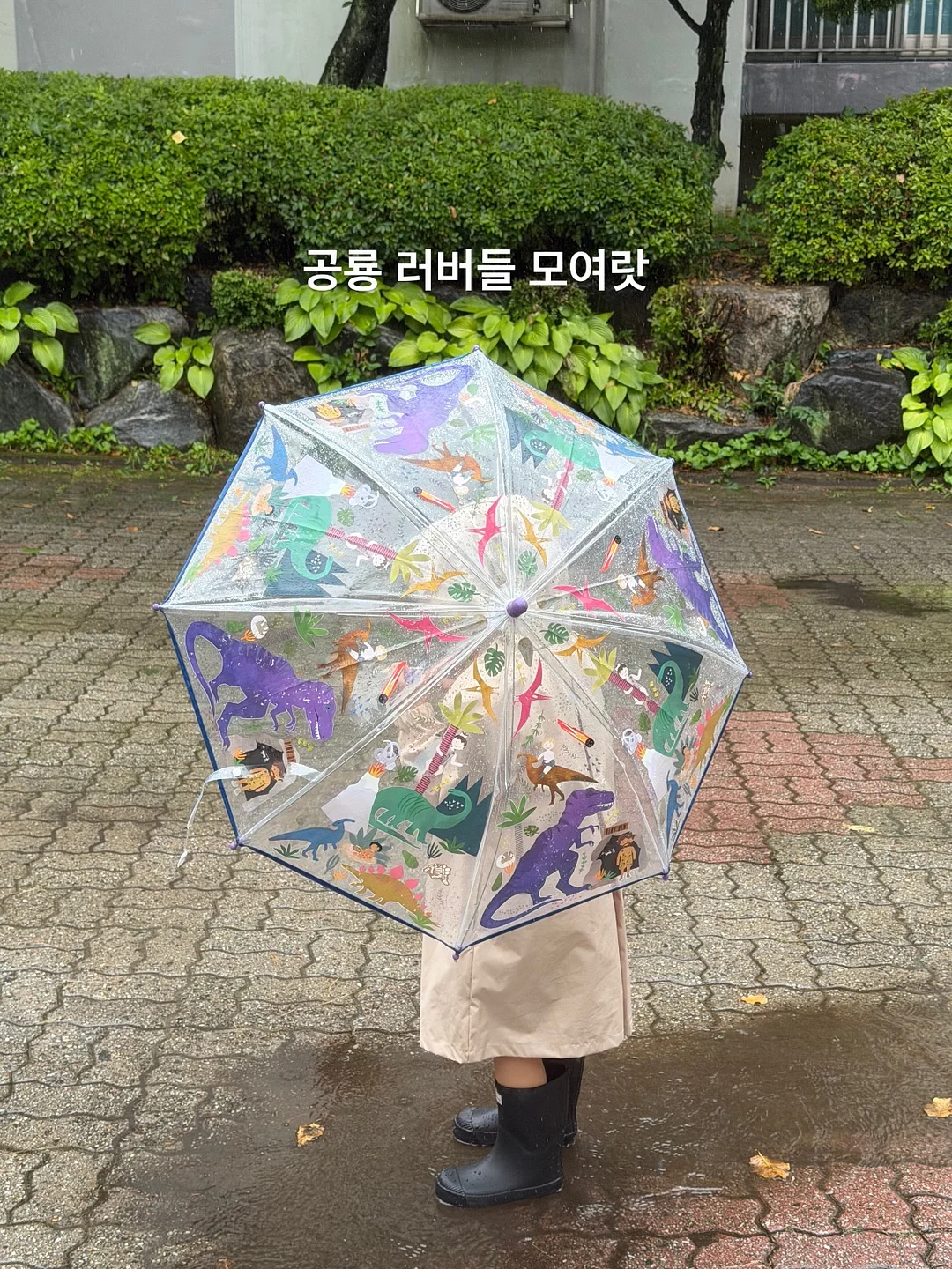 티탄샷 10