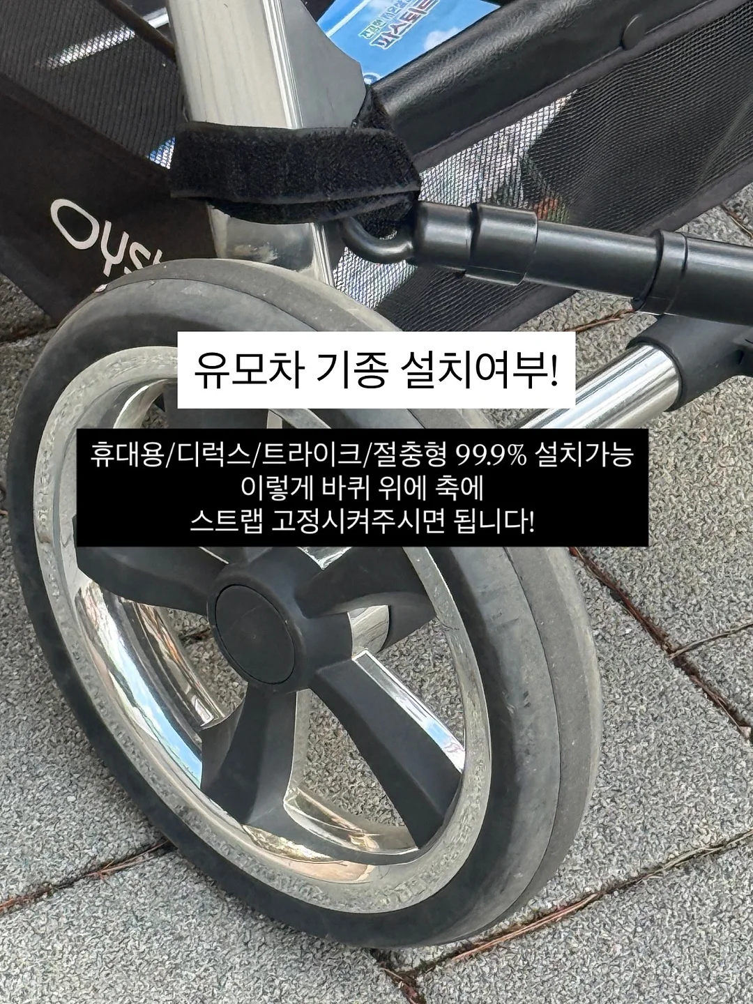 함익병 썬스틱 5