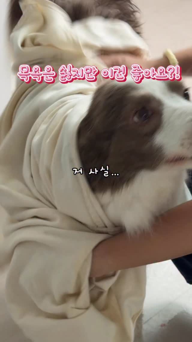 더루트알지쓰리 올인원
