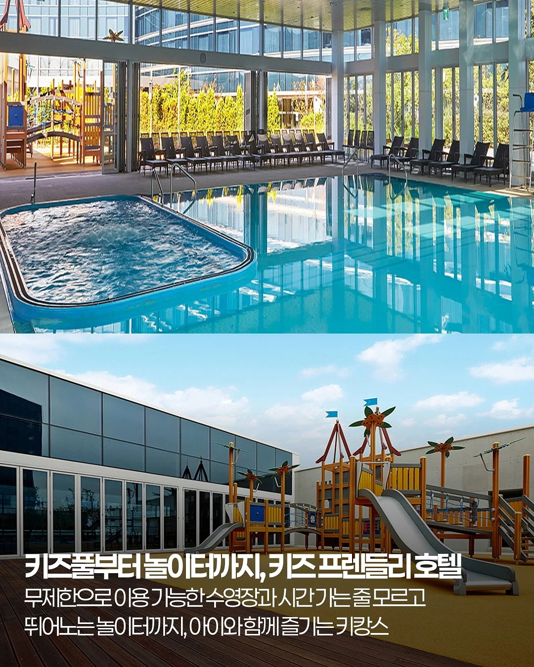 팔레트 돌핀팬츠 5