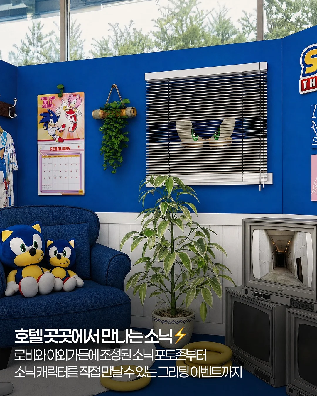 팔레트 돌핀팬츠 6