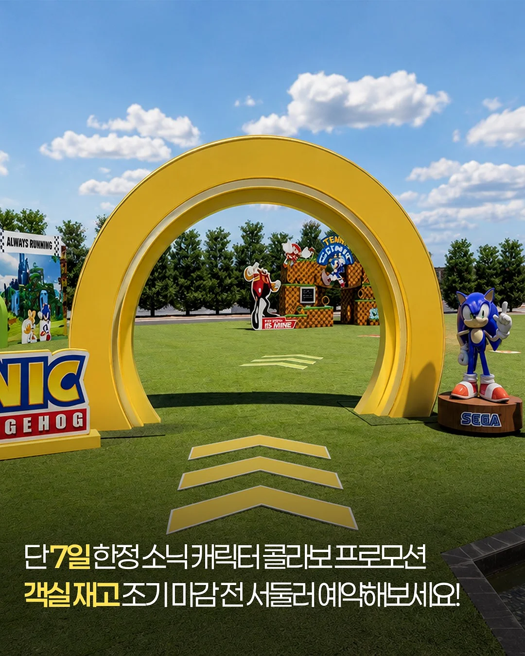 팔레트 돌핀팬츠 8