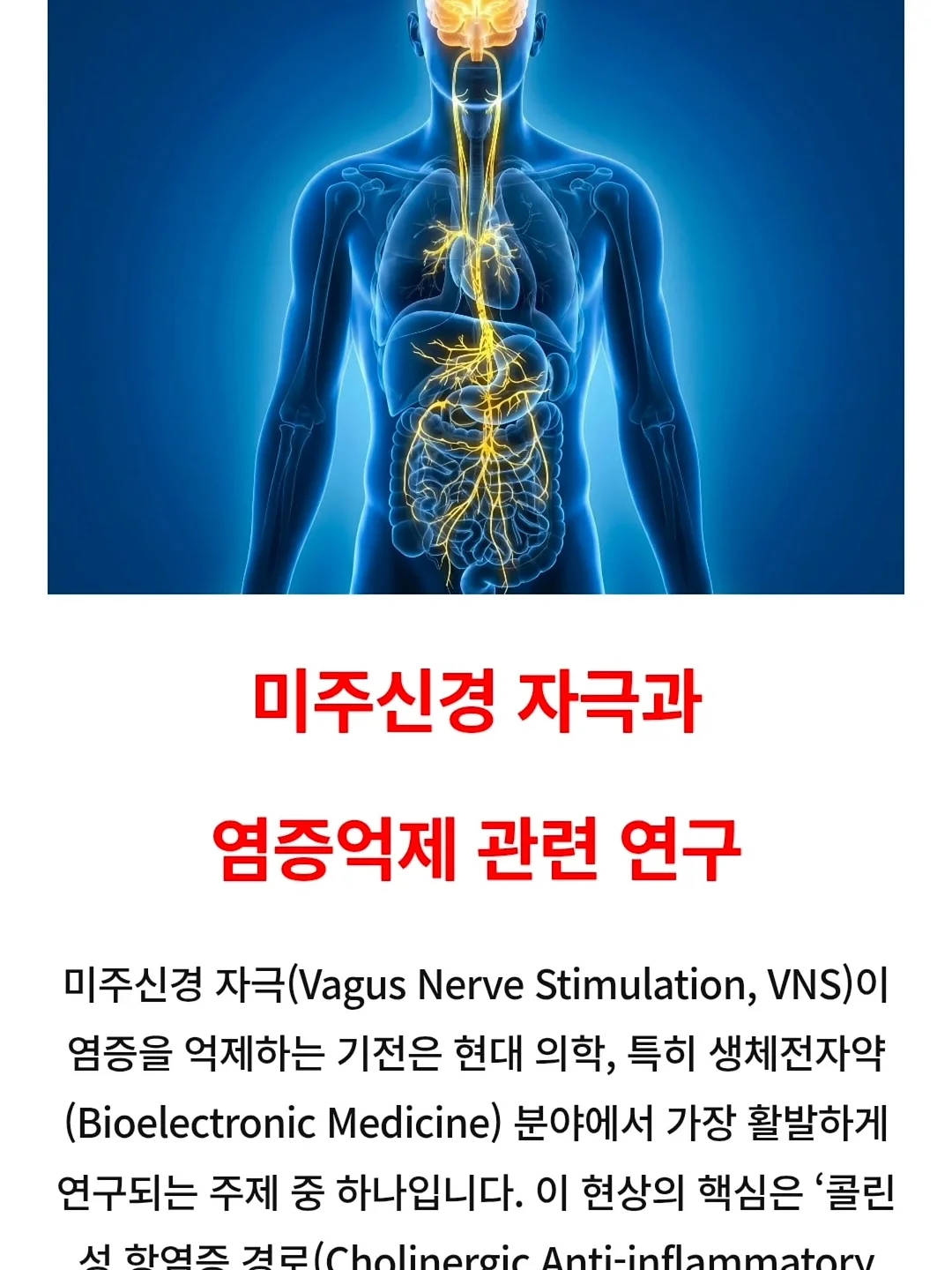 데콜테 라인 관리 11