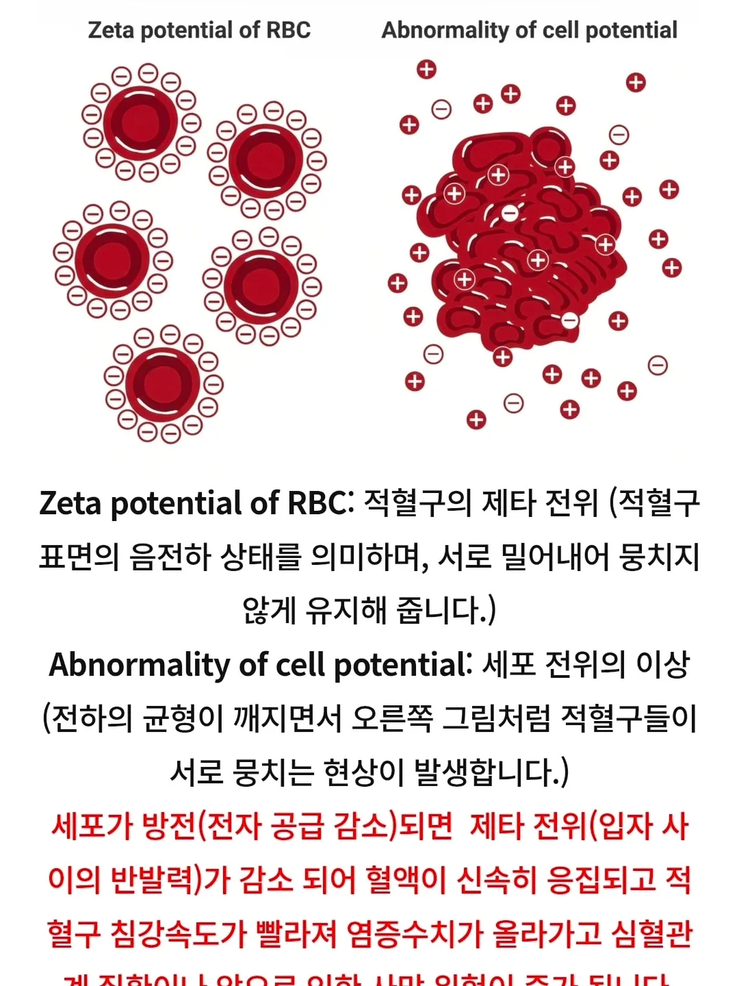 데콜테 라인 관리 18