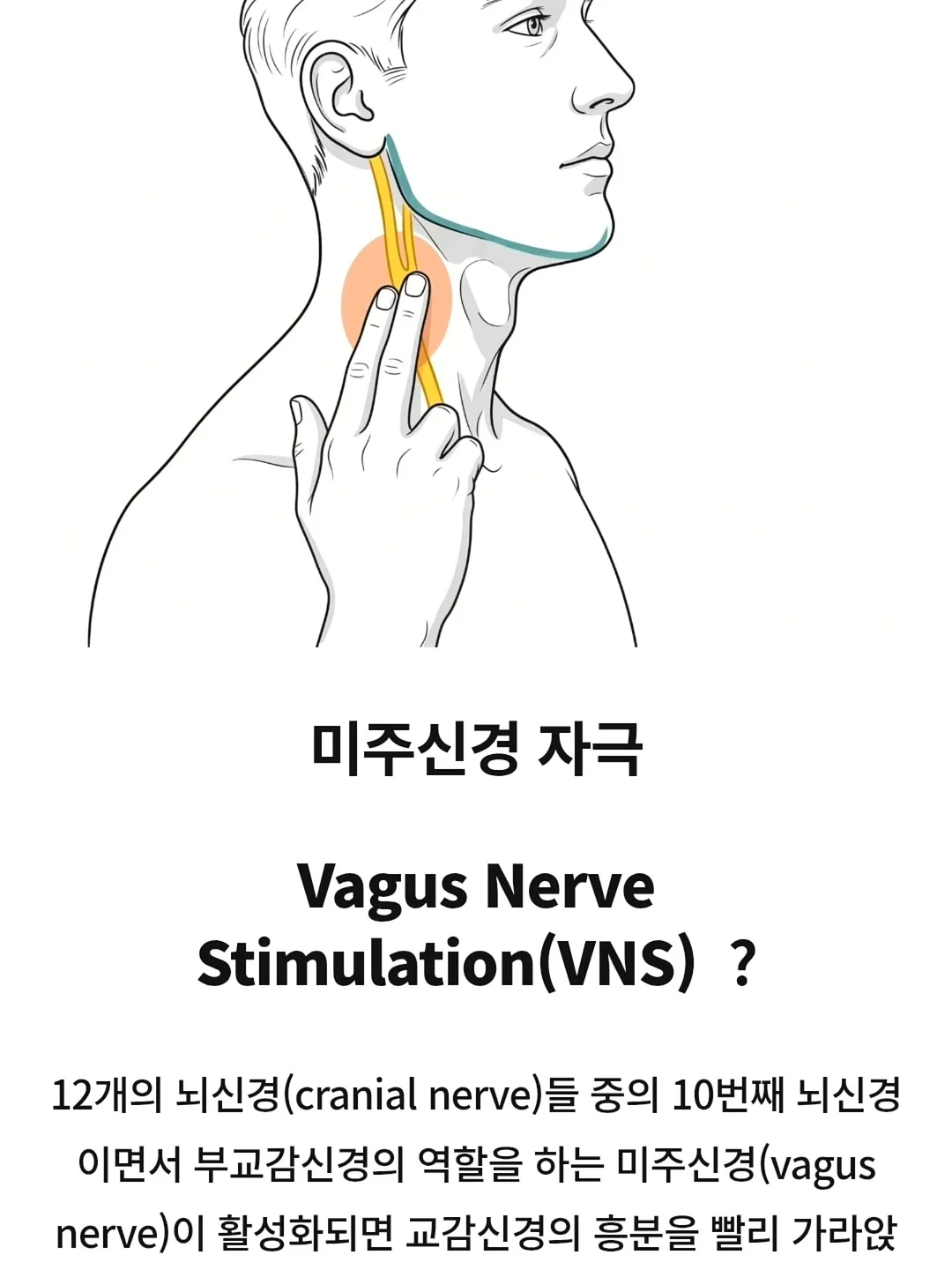 데콜테 라인 관리 8