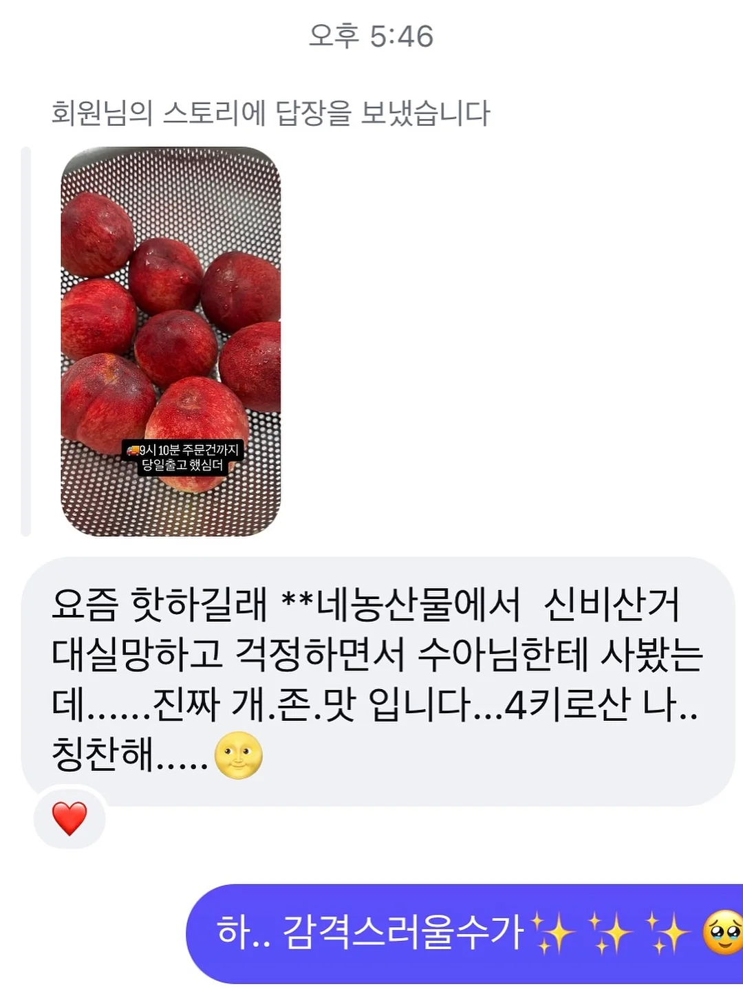 NB 키즈 운동화 5
