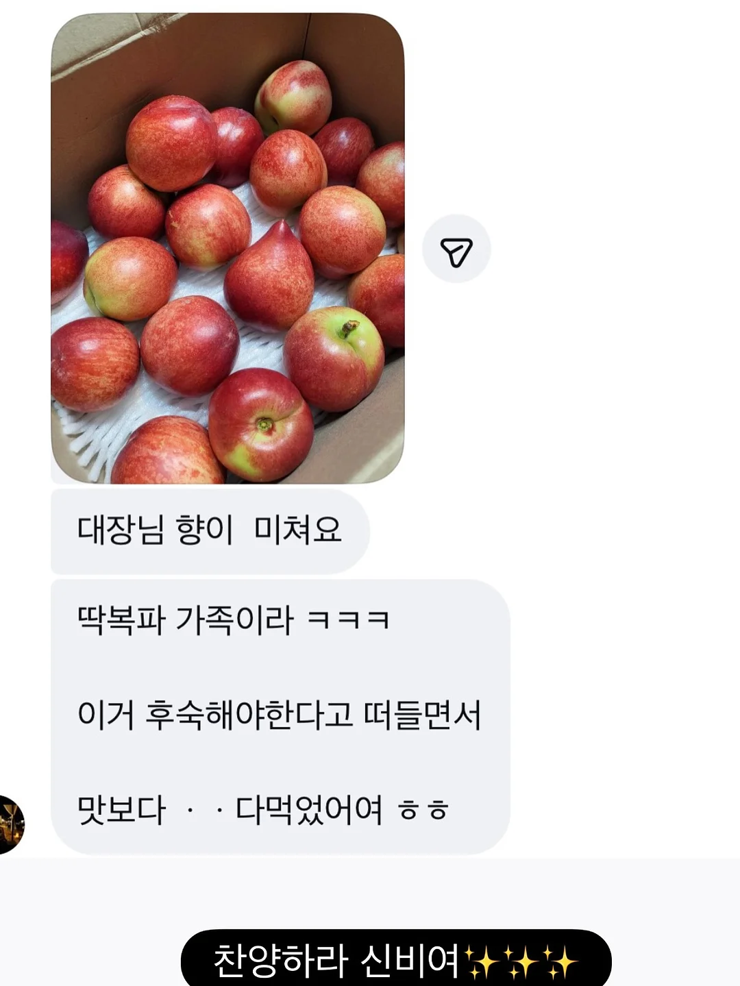 NB 키즈 운동화 8