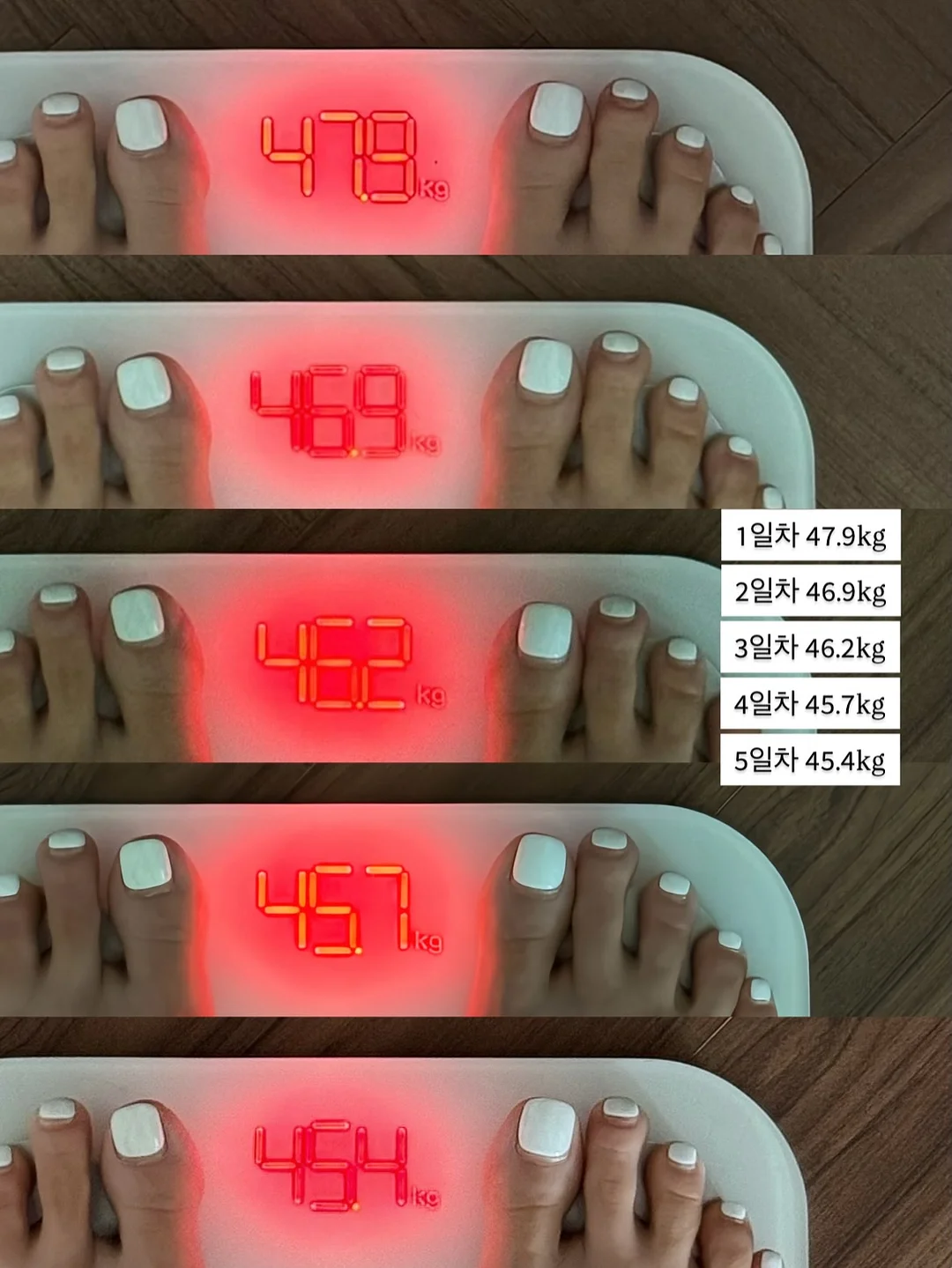 대파 키우는 비밀재료 1