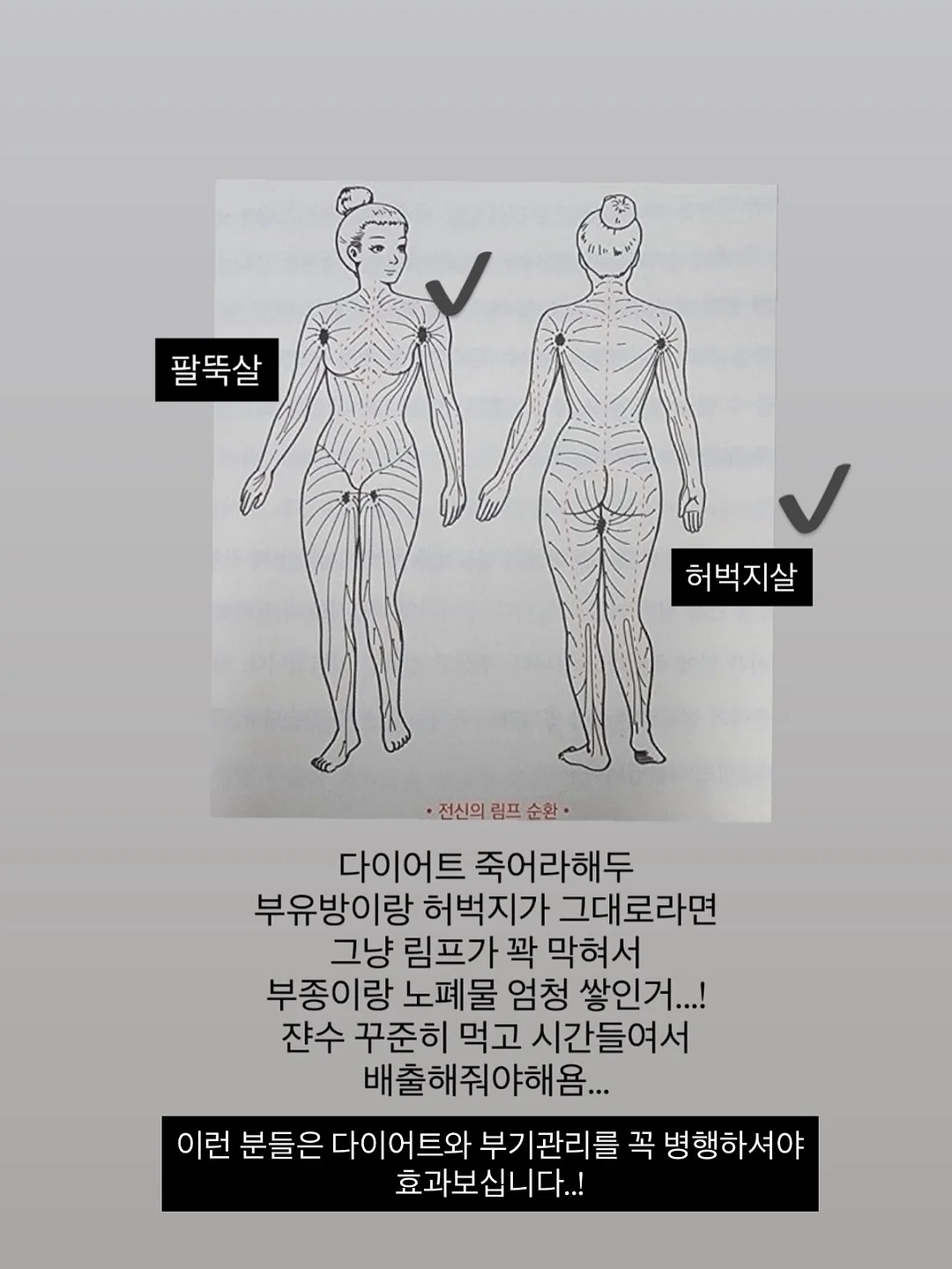 플럼잇 베리잇 아르기닌 16
