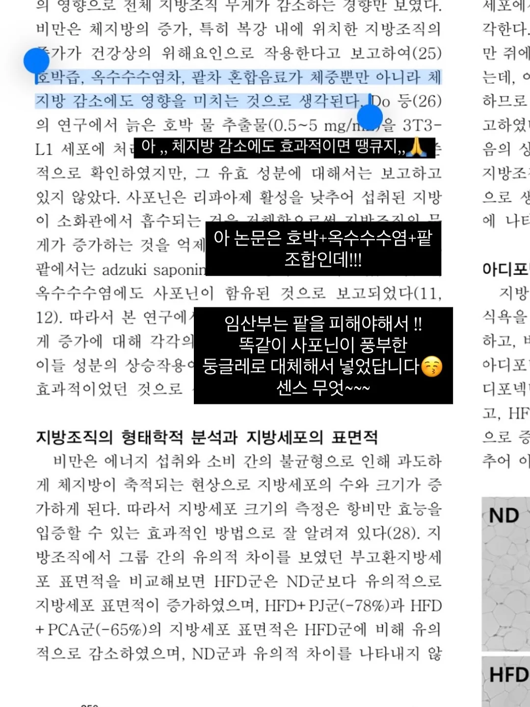 플럼잇 베리잇 아르기닌 19