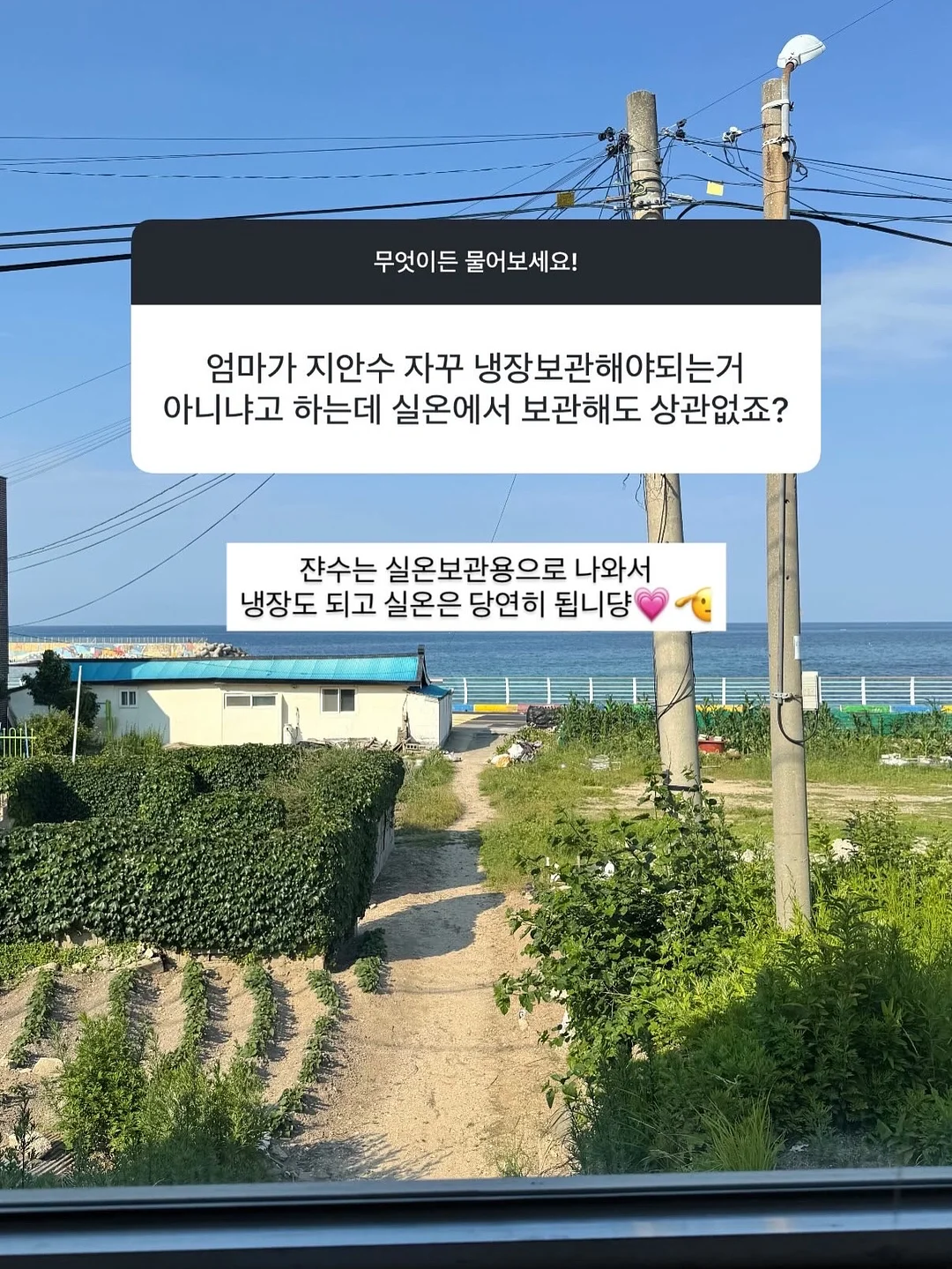 플럼잇 베리잇 아르기닌 9
