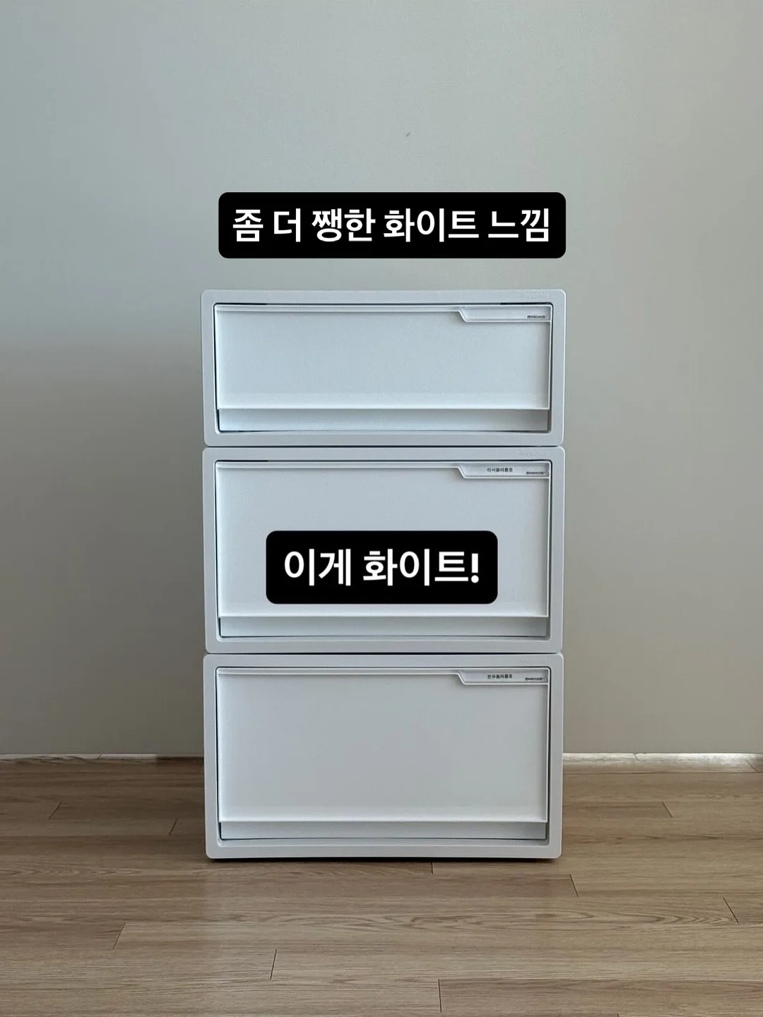 모루카 11