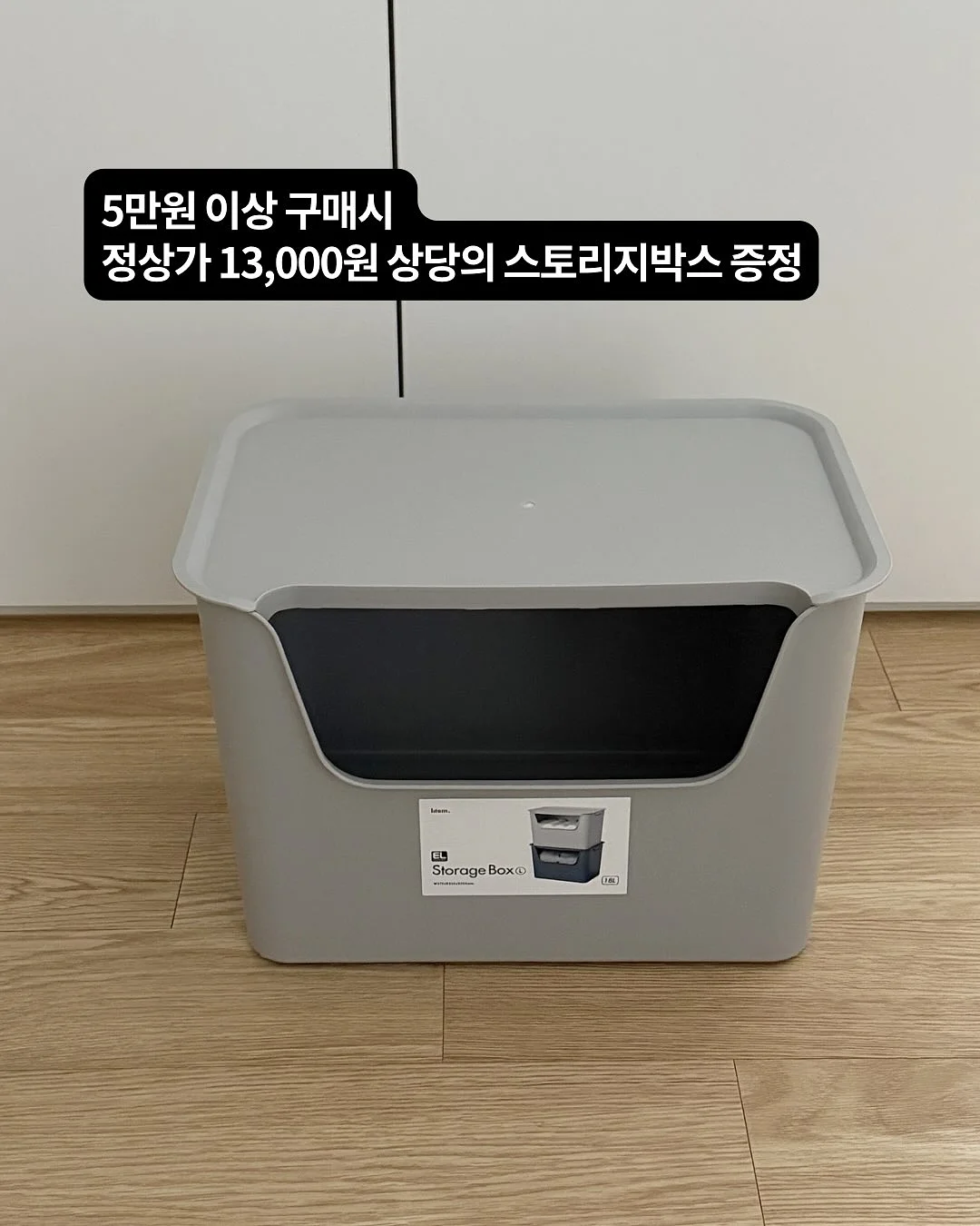 모루카 17