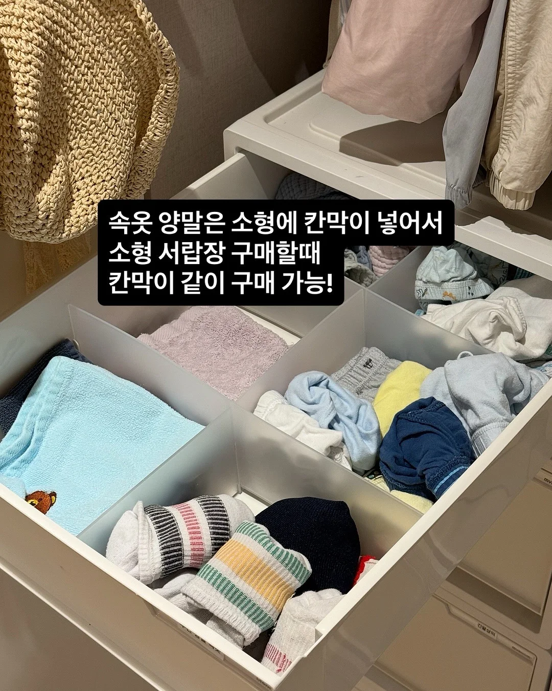 모루카 5