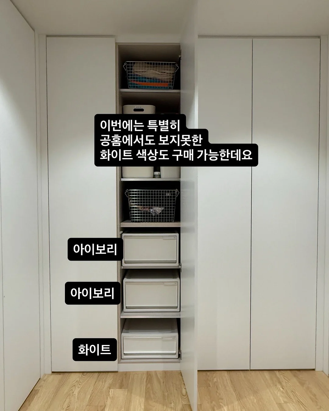 모루카 10