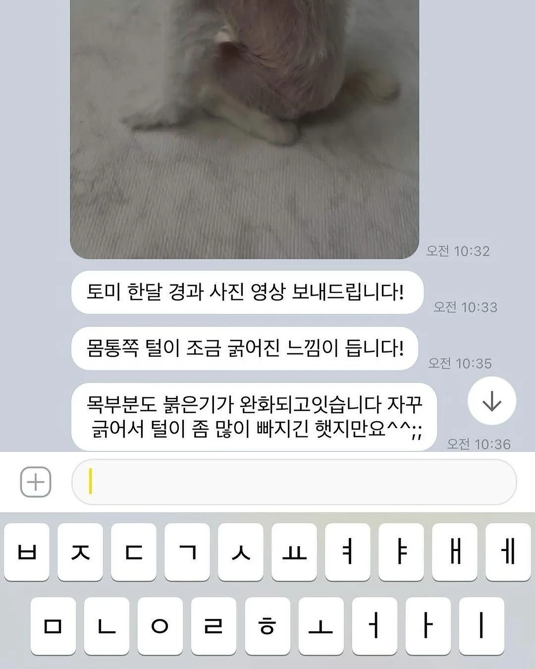 반려동물 털 제거기 7
