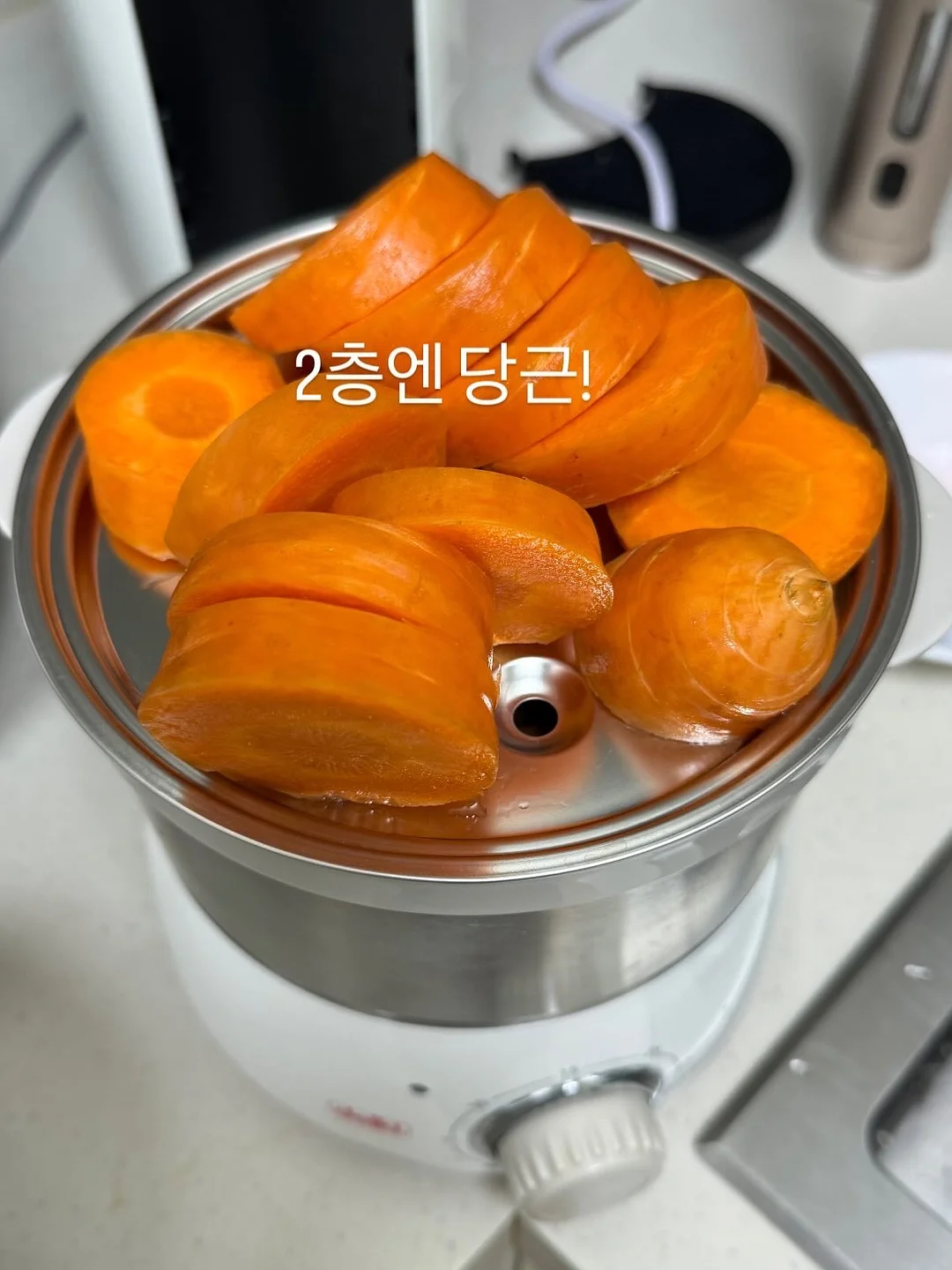 루이비통 캐리올 PM 5