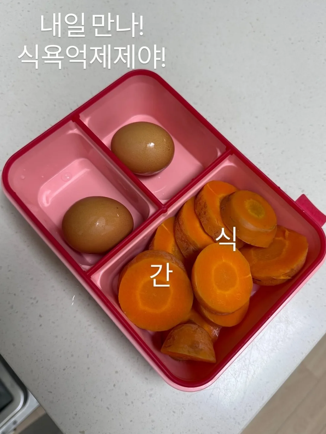 루이비통 캐리올 PM 9
