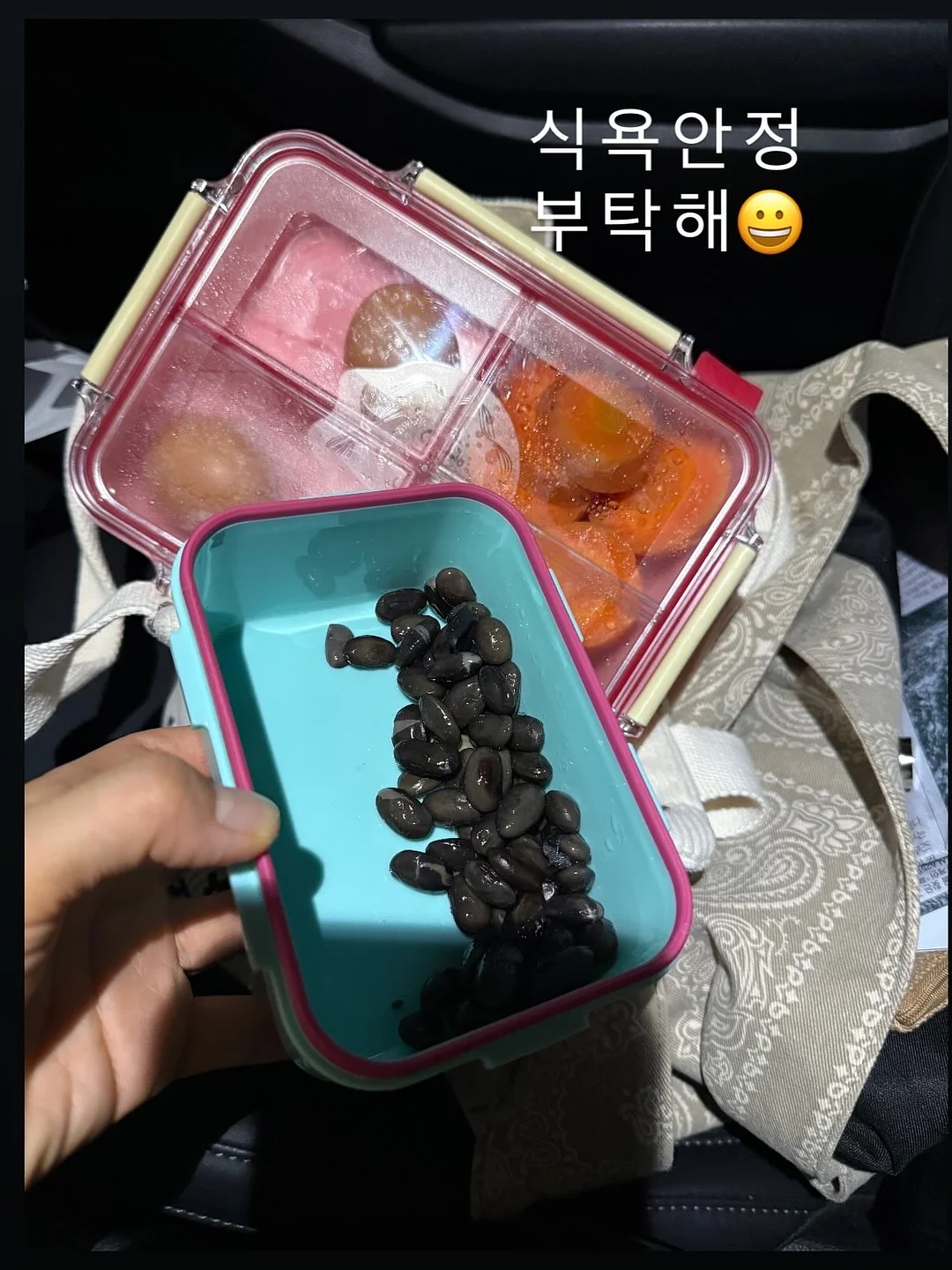 루이비통 캐리올 PM 10