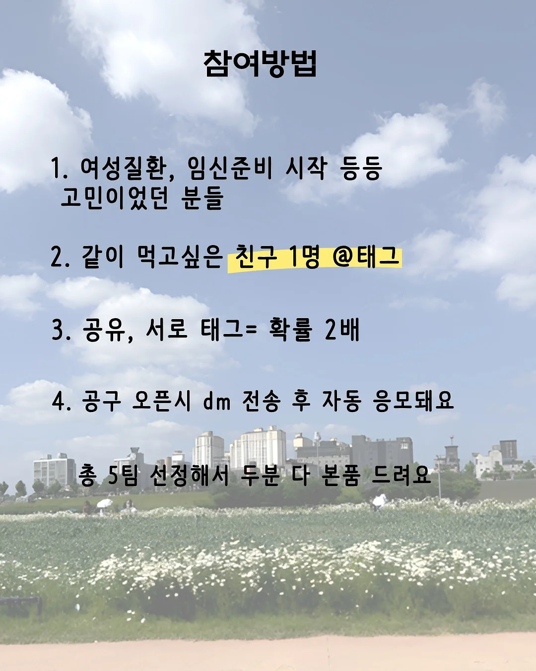 엽서 4