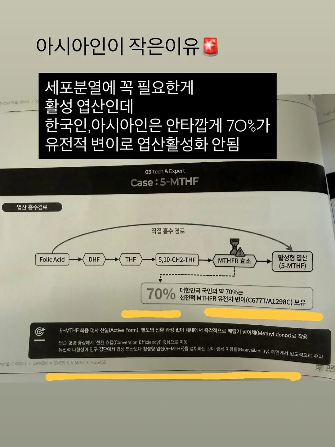 하울의 움직이는 성 DIY 조립식 모형 장식품 3