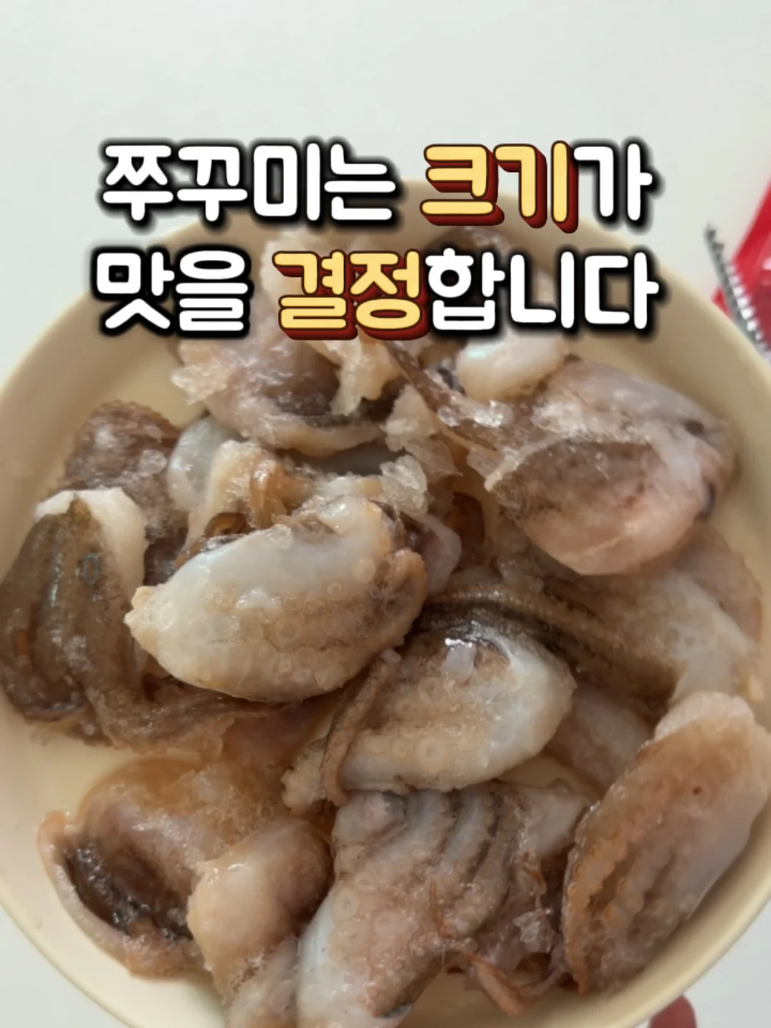 트위드 세트 2