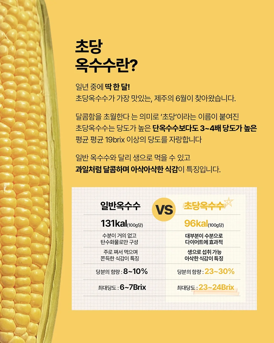 카라 니트 3