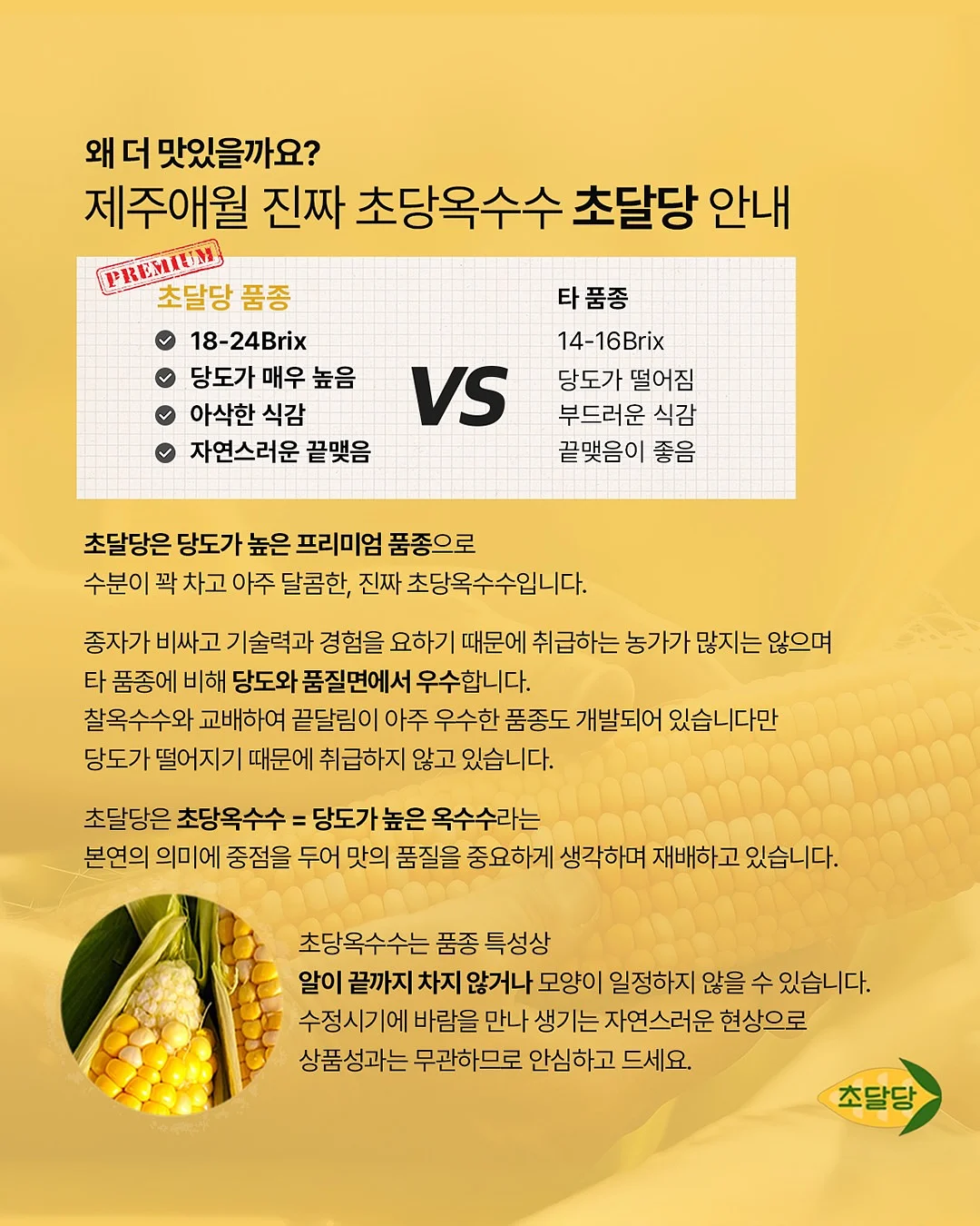 카라 니트 5