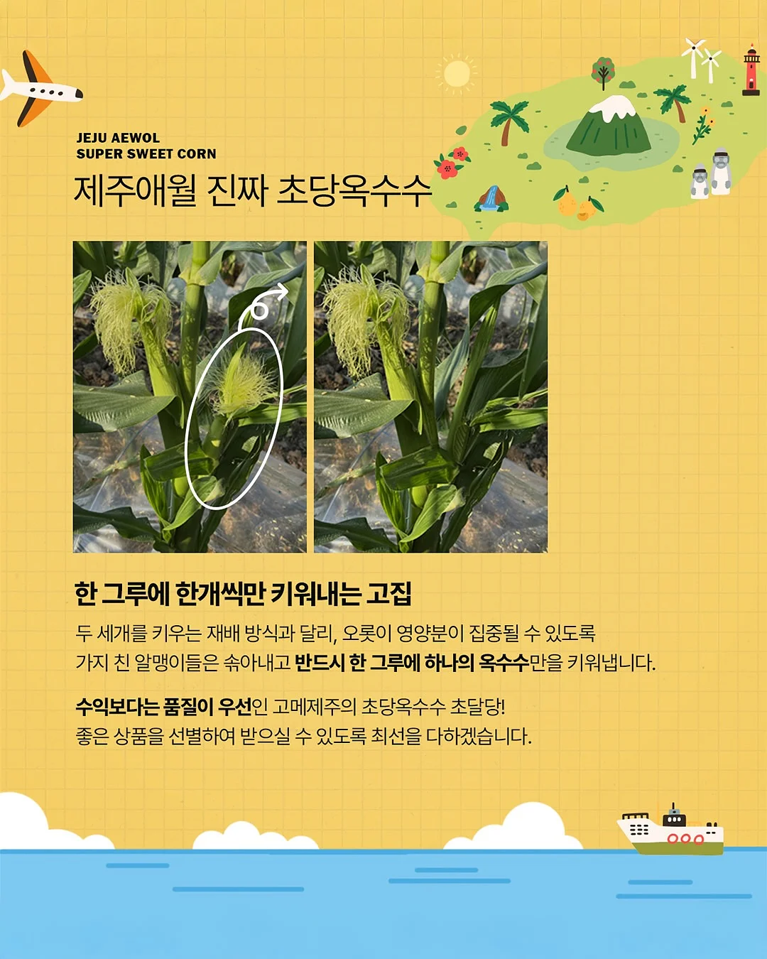 카라 니트 7