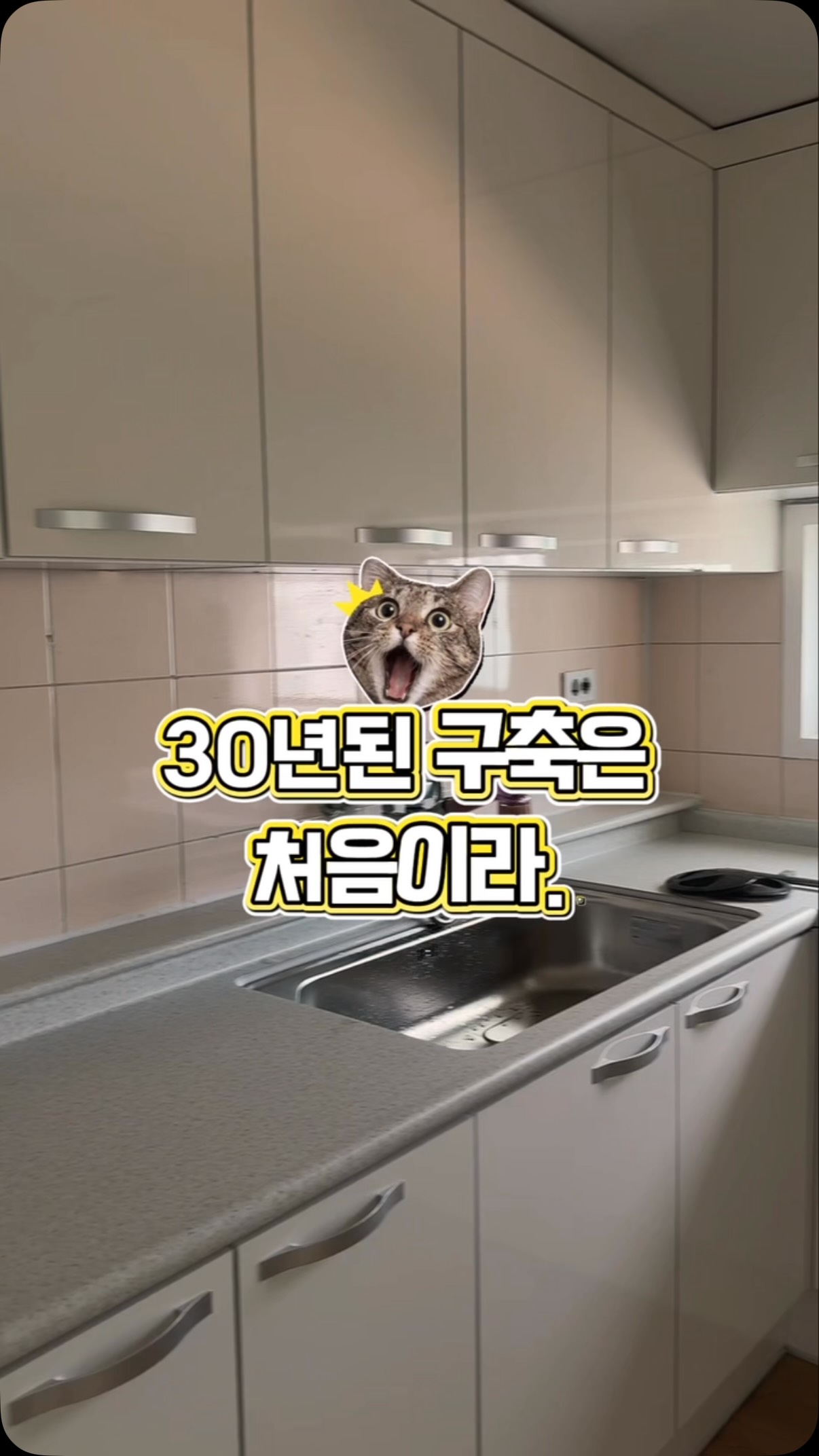 HALO 주얼리