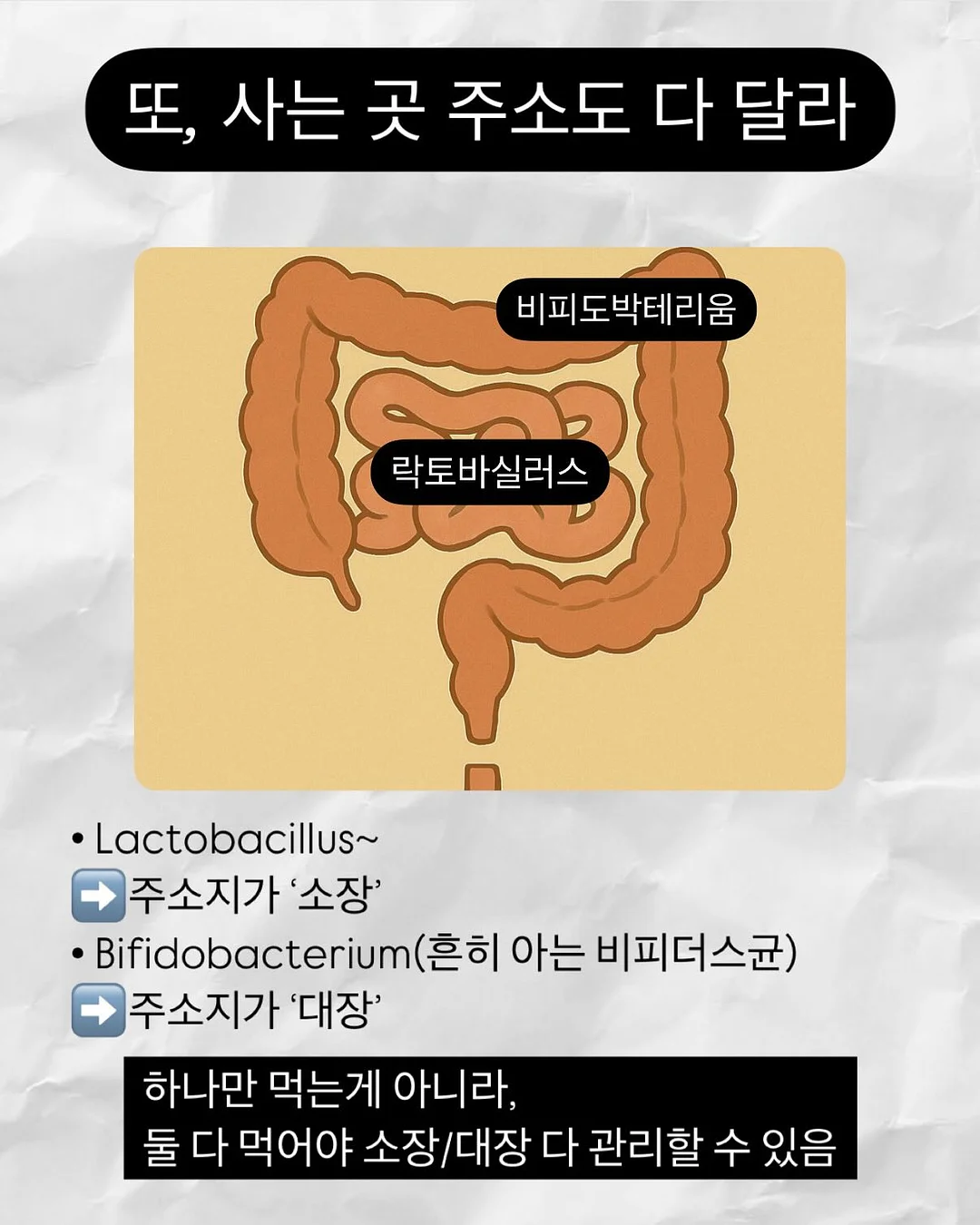 올인원세럼 16