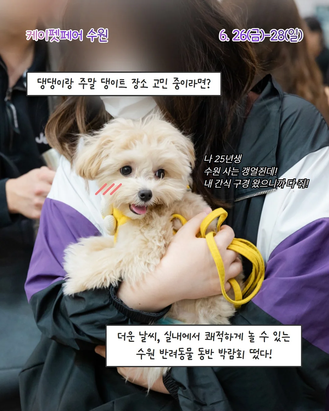 에고이스트 제품 2