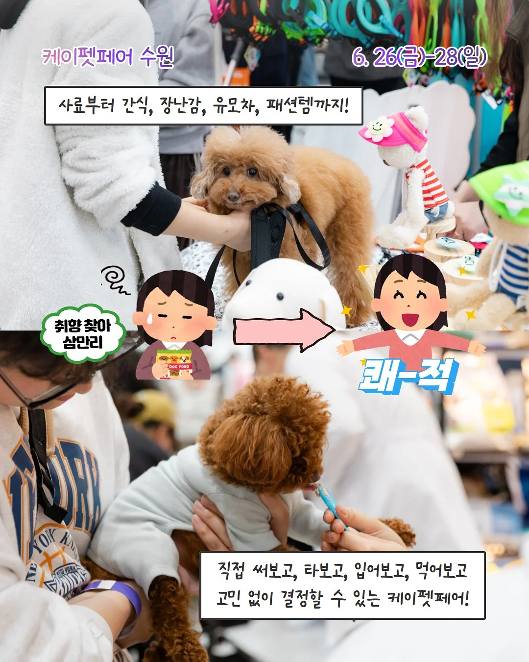 에고이스트 제품 3