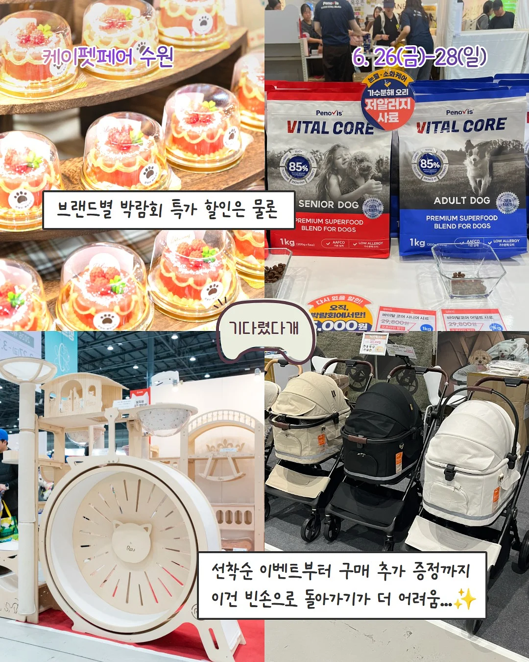 에고이스트 제품 5