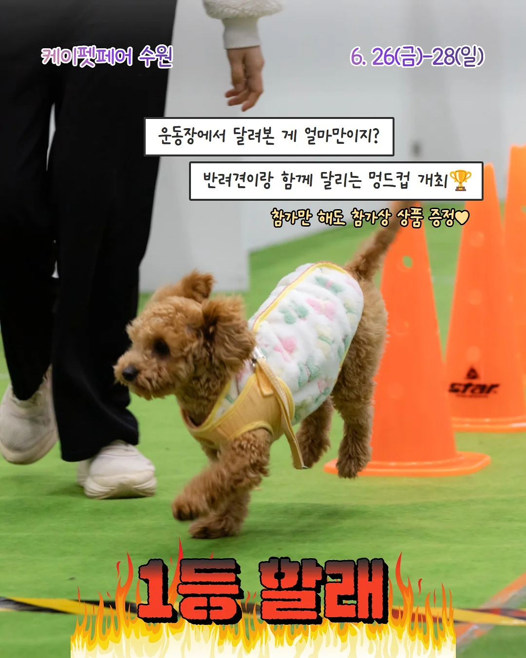 에고이스트 제품 7