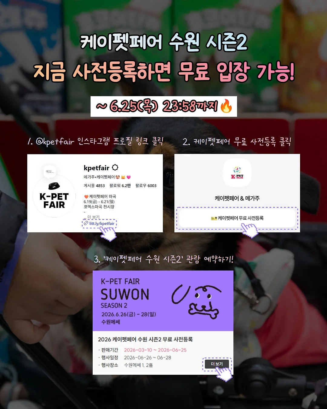 에고이스트 제품 9