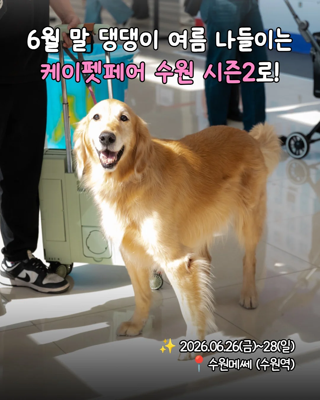 에고이스트 제품 10
