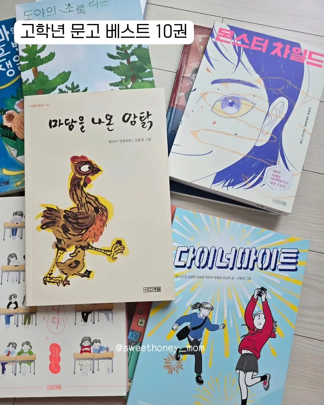 일본제 고밀도 브러시 4