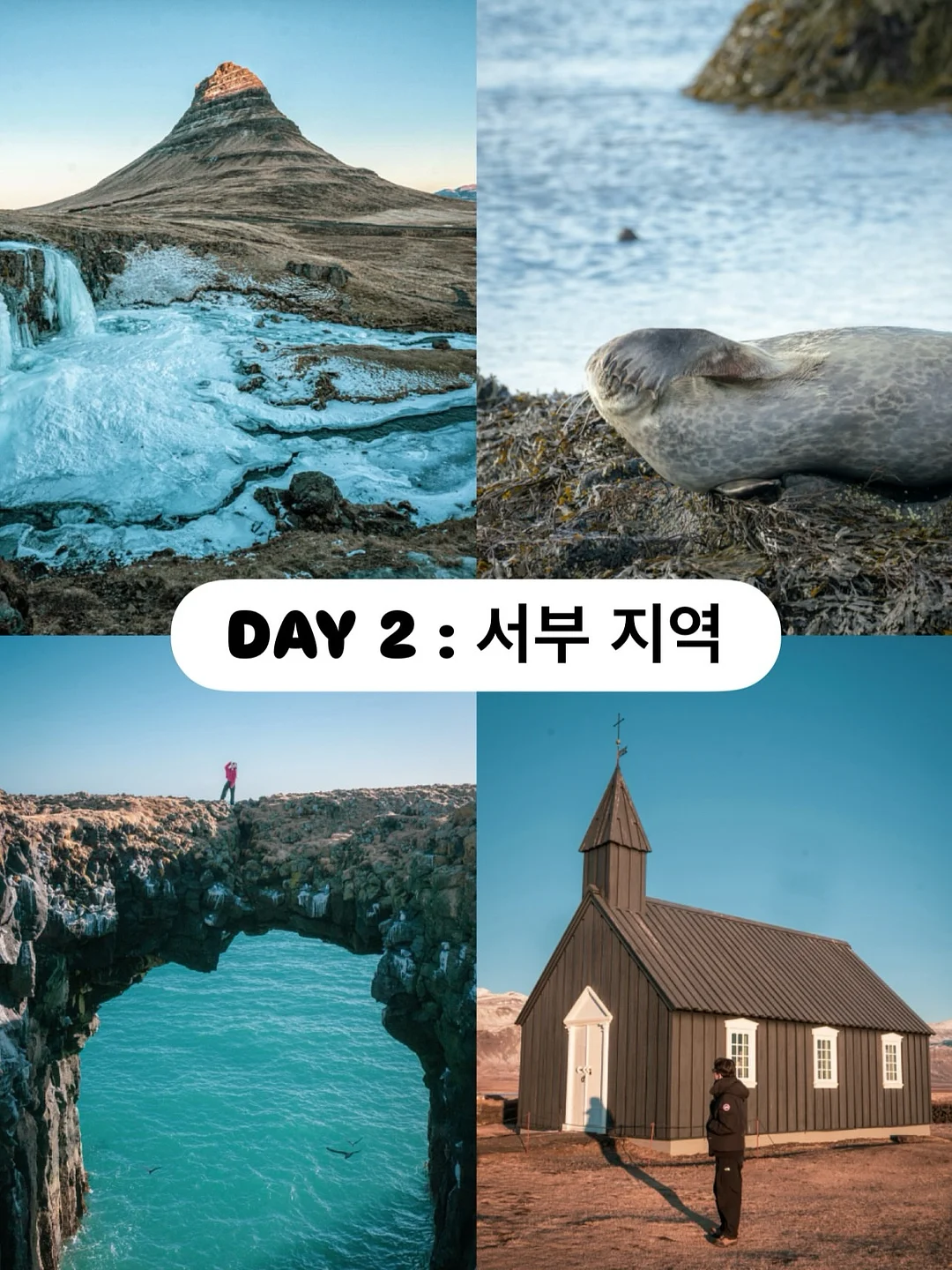 청도 한재 미나리 3