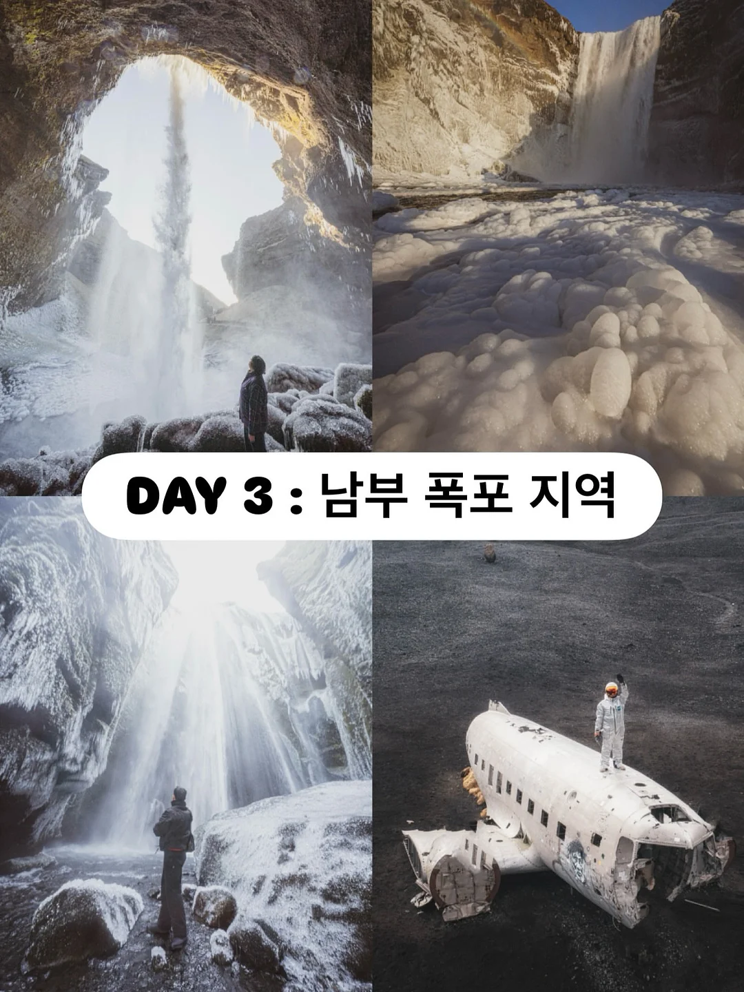 청도 한재 미나리 4