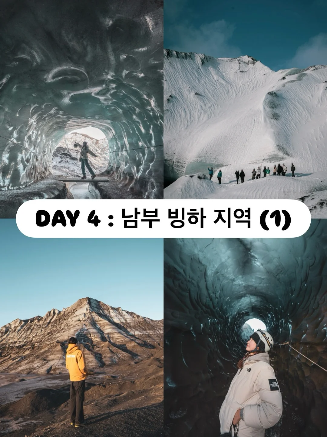 청도 한재 미나리 5