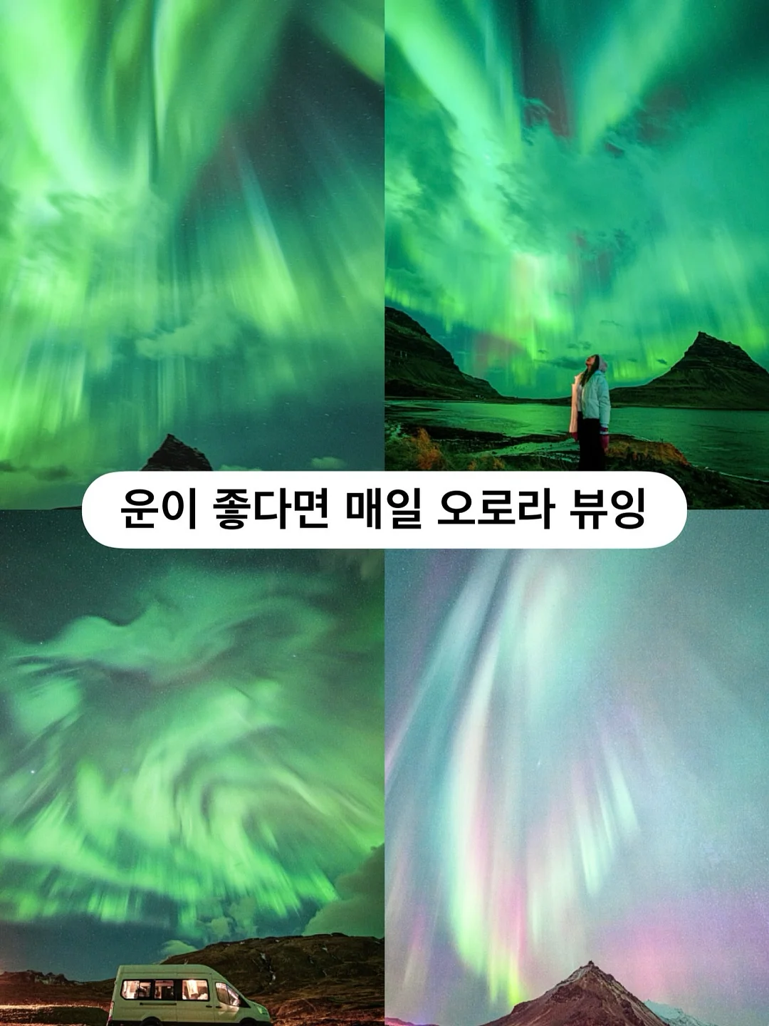 청도 한재 미나리 9