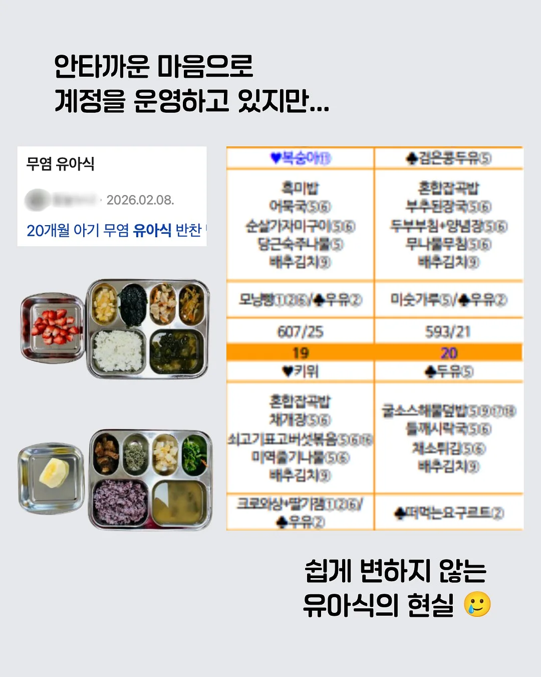 수경 대나무 3