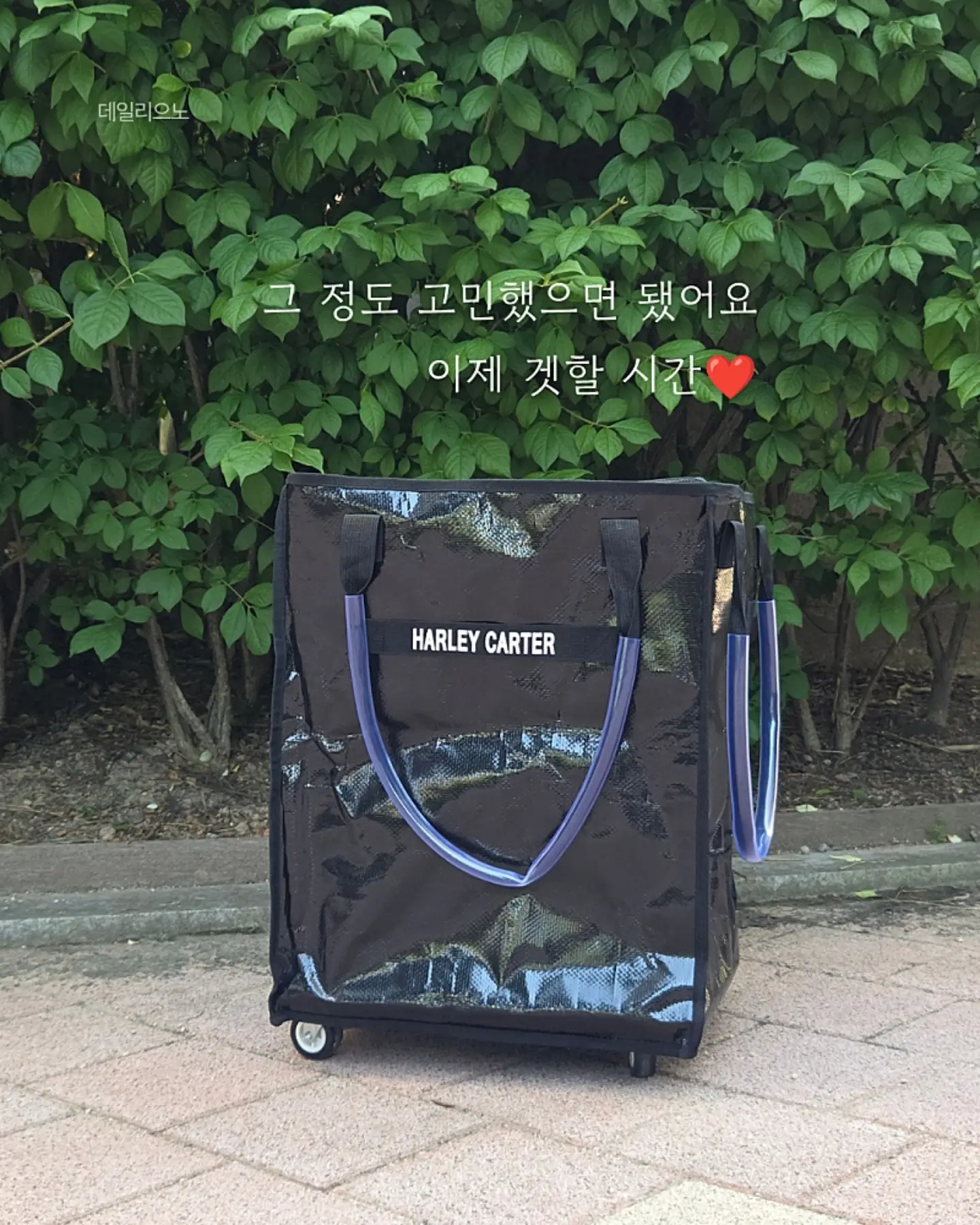 포들 갈고리패드 2