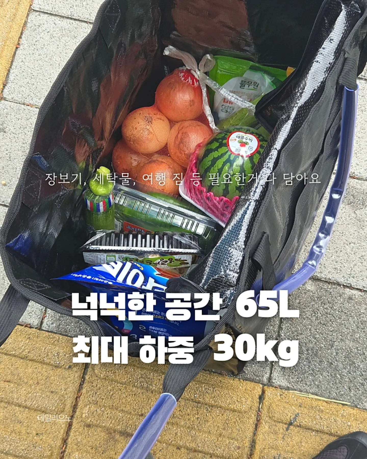 포들 갈고리패드 5