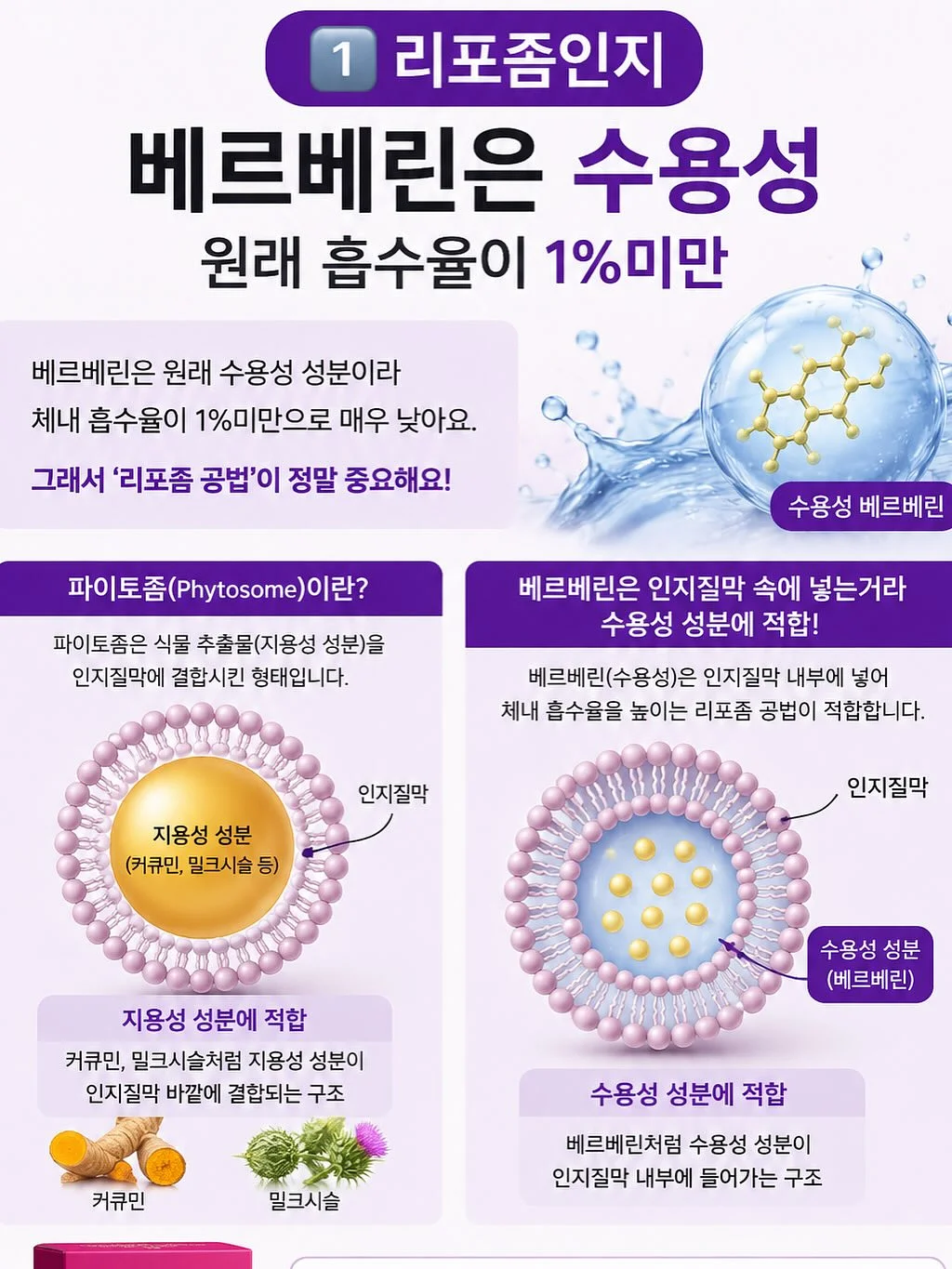다이어트 간식 8
