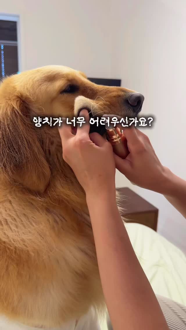 매거진 [nu thanks]