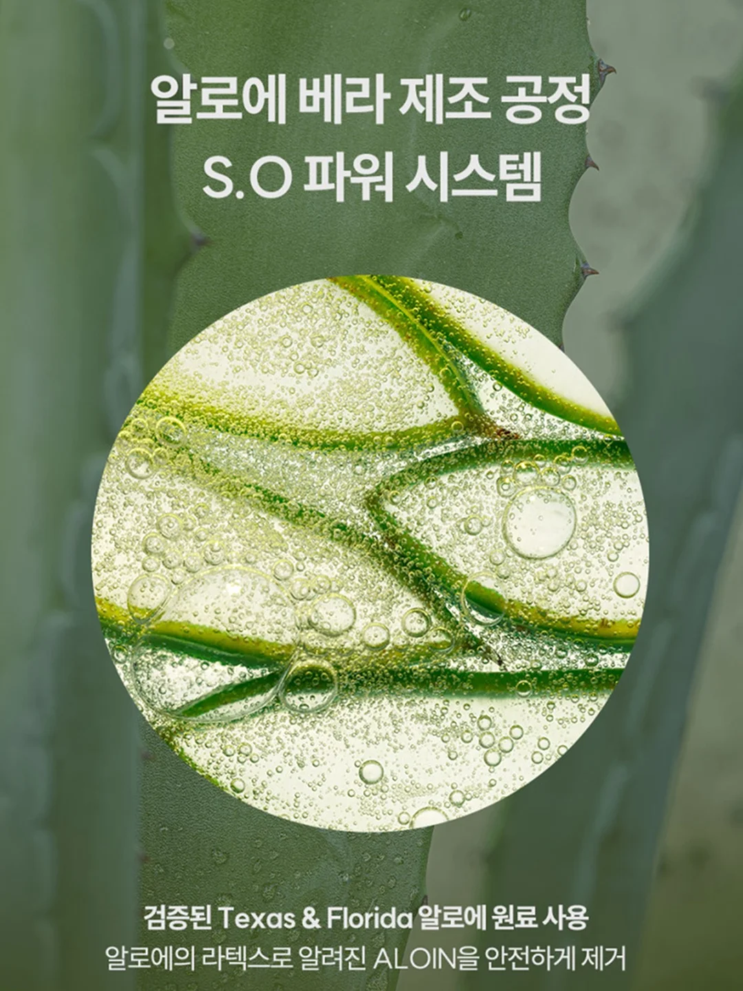 온라인 허브 큐레이팅 전체 패키지 8